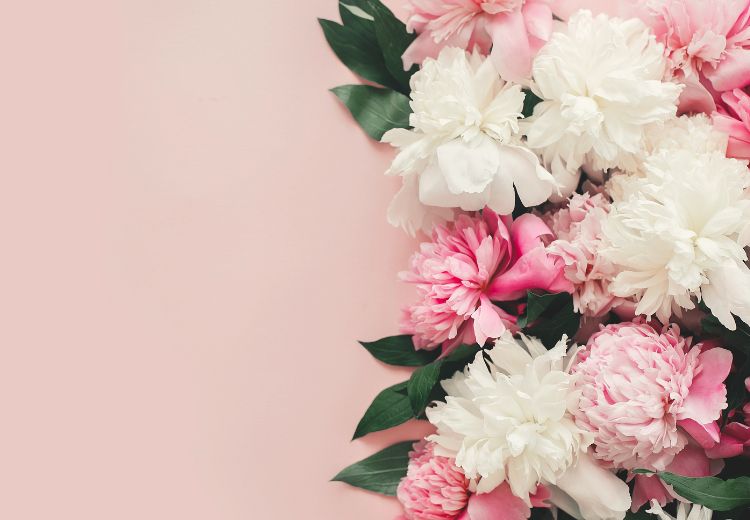 Dia das Mulheres na AABB-RIO