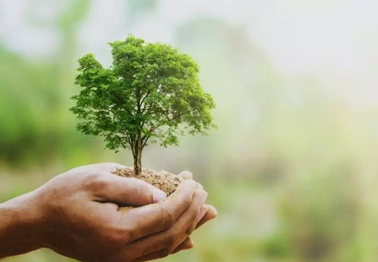 Dia Mundial do Meio Ambiente